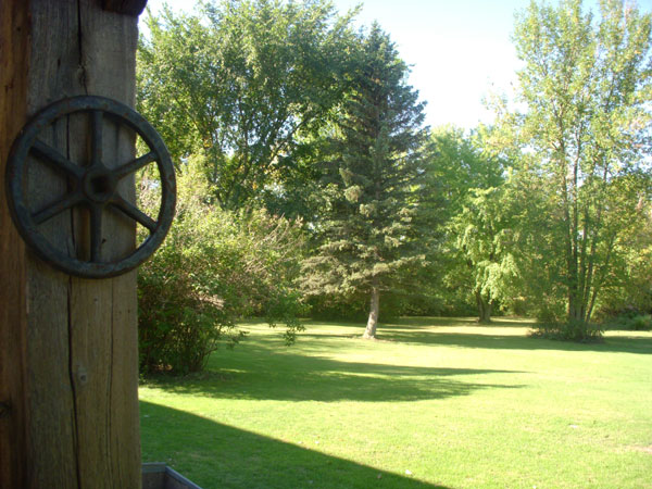 Back yard
