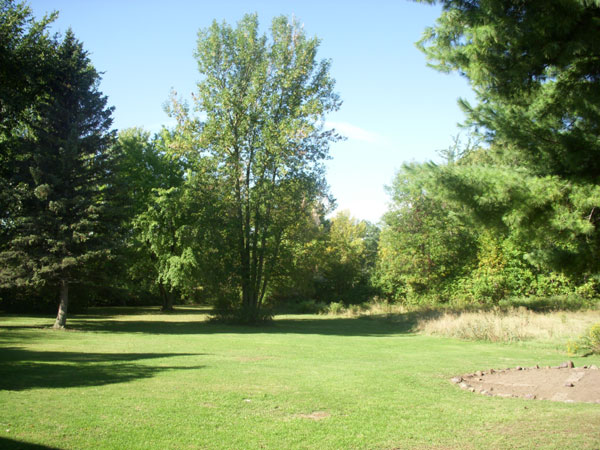 Back yard