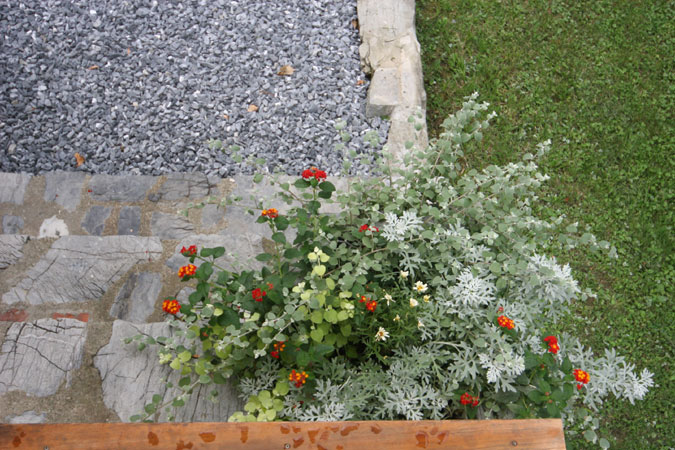Close up of planter